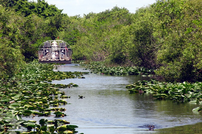 USA - Everglades - Airboat
